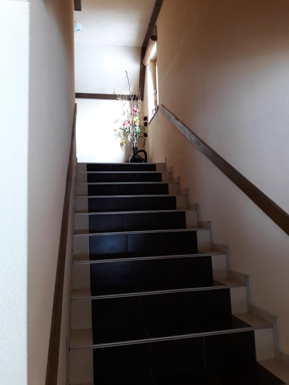 Apartments Vucko Vlasic Εξωτερικό φωτογραφία